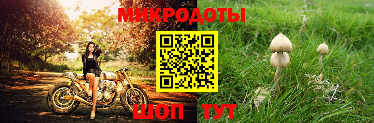 Псилоцибиновые грибы мицелий Балабаново
